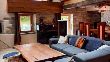 TV, fireplace, video games, DVD player