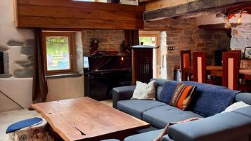 TV, fireplace, video games, DVD player