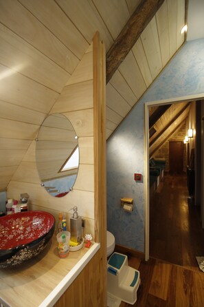 Ducha, secador de pelo, toallas