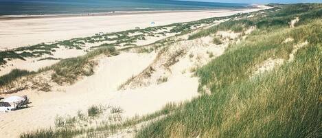 A beach with dunes and a clear sky.