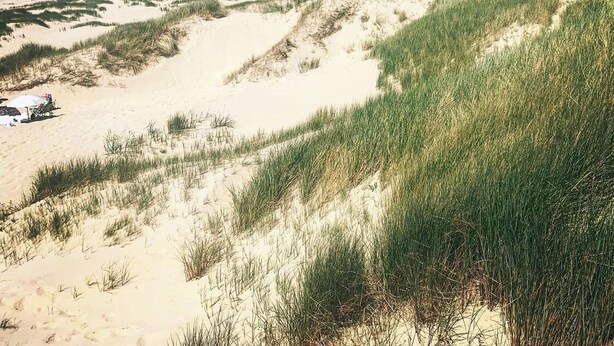 A beach with dunes and a clear sky. - Sunny Seaside Getaway: A Short Walk to Beach and Dunes (Bergen aan Zee)