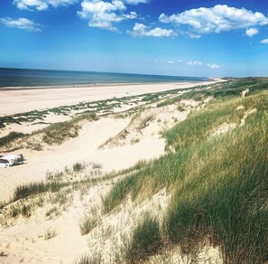 A beach with dunes and a clear sky. - A sunny getaway by the sea: a short walk along the beach and through the dunes (Bergen aan Zee)