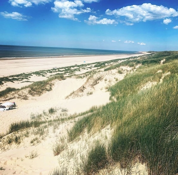 Beach - Sunny Seaside Getaway: A Short Walk to Beach and Dunes (Bergen aan Zee)