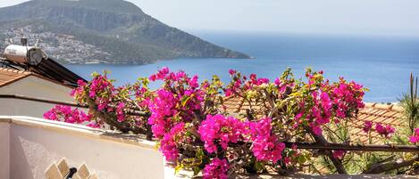 Terrain de lâhĂ©bergement