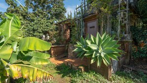 Une construction rustique en bois, dotée d’une porte, entourée d’une végétation luxuriante et d’un mur de pierre.