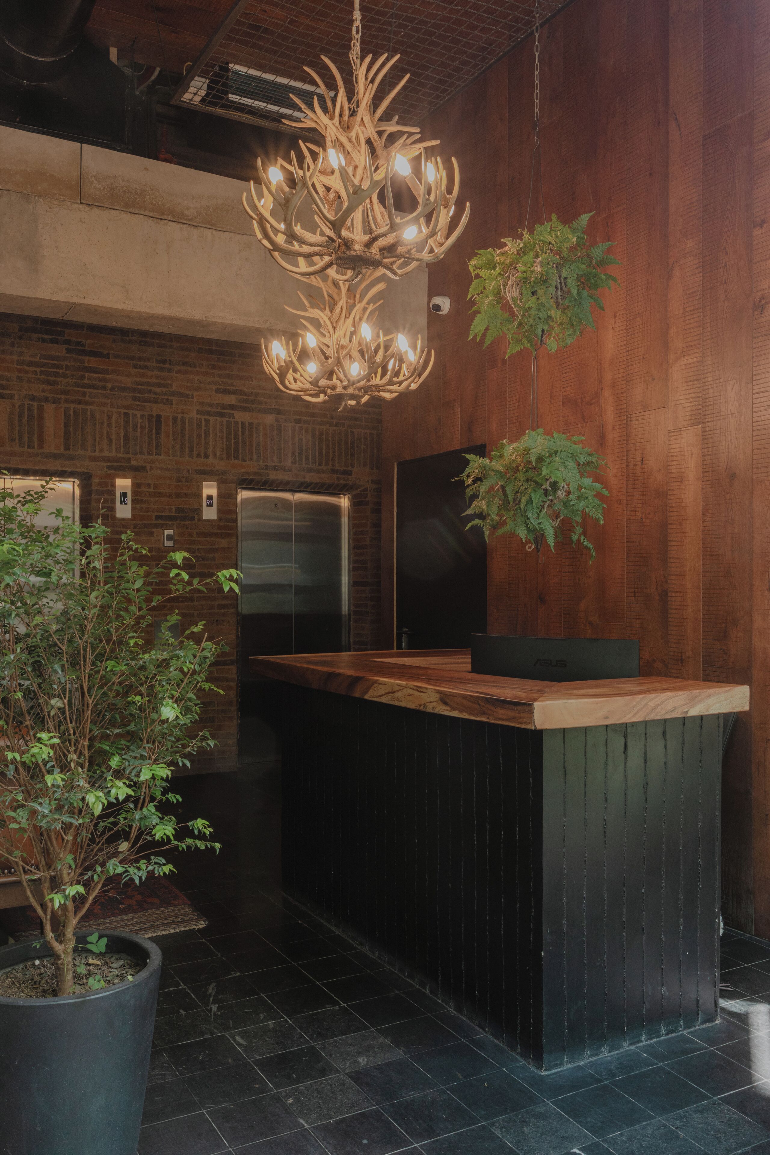 A reception area with a wooden reception desk, a large potted plant, a hanging light fixture, and a black refrigerator.