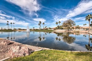 Property grounds - Spacious Sun Lakes Home for couples or families! (Sun Lakes)