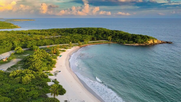 Eine Küstenlandschaft mit Strand, üppiger Vegetation und freiem Blick auf den Ozean.