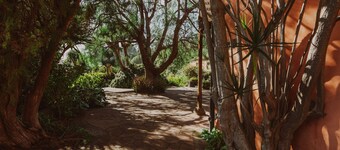 Succession - Finca El Ingeniero