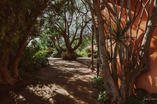 Soleil - Finca El Ingeniero