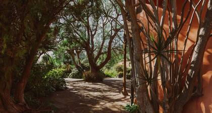 Soleil - Finca El Ingeniero