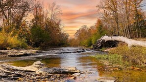 A river flowing through a forest with autumn foliage and a fallen tree trunk.