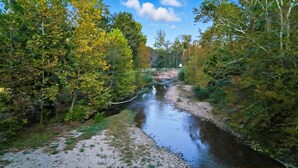 A river flowing through a forested area with trees on both sides.