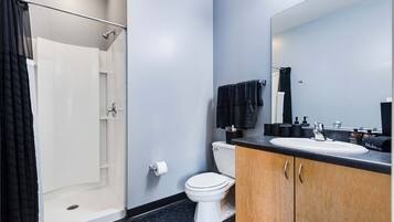 Chuveiro, secador de cabelo, toalhas de banho, sabonete