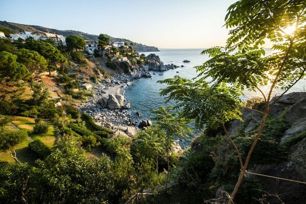 Un paysage côtier caractérisé par un terrain rocheux, une végétation luxuriante et une vue sur la mer.