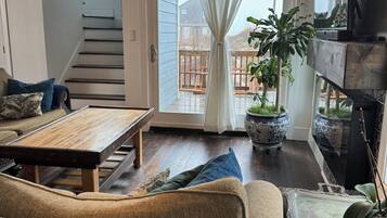 Smart TV, fireplace, books