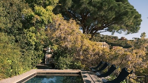 Ein Pool mit Liegestühlen, umgeben von Bäumen und Gebäuden im Hintergrund.