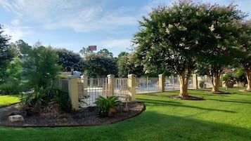 Piscine extérieure, parasols de plage, chaises longues