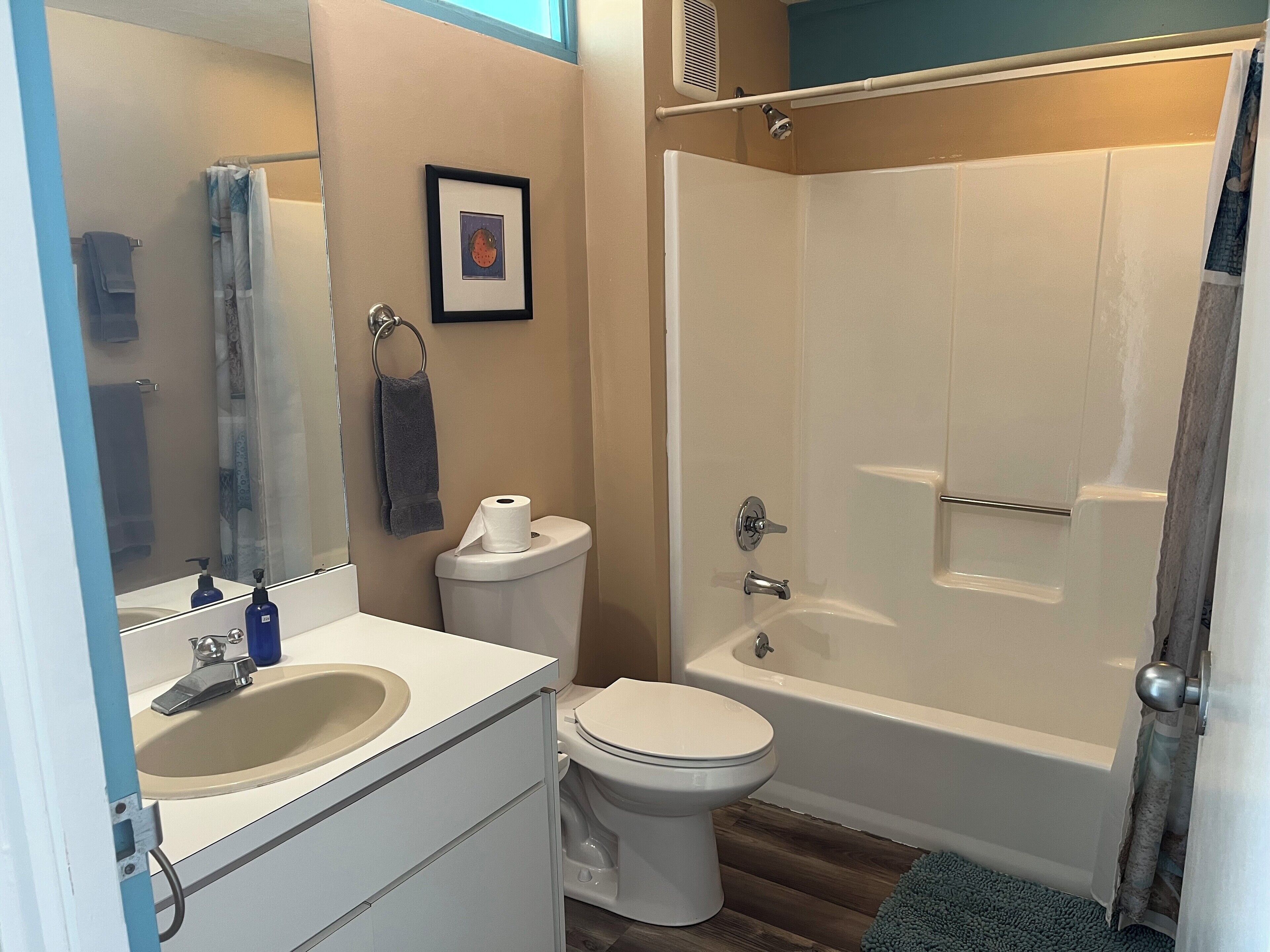 Hair dryer, towels, soap, toilet paper