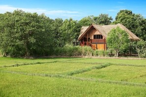 Room - Jetwing Vil Uyana, A Luxury Reserve (Dambulla)