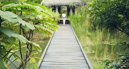 Jetwing Vil Uyana, A Luxury Reserve