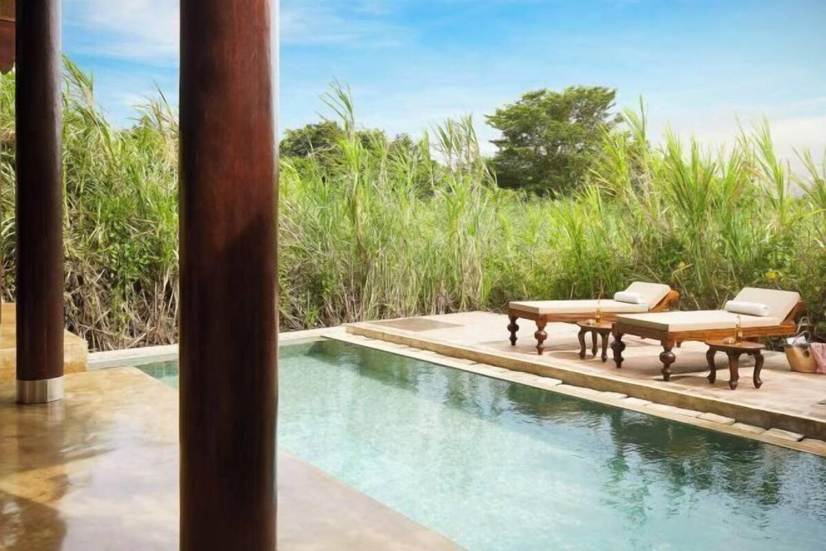 A pool area with lounge chairs and a clear view of the surrounding vegetation.