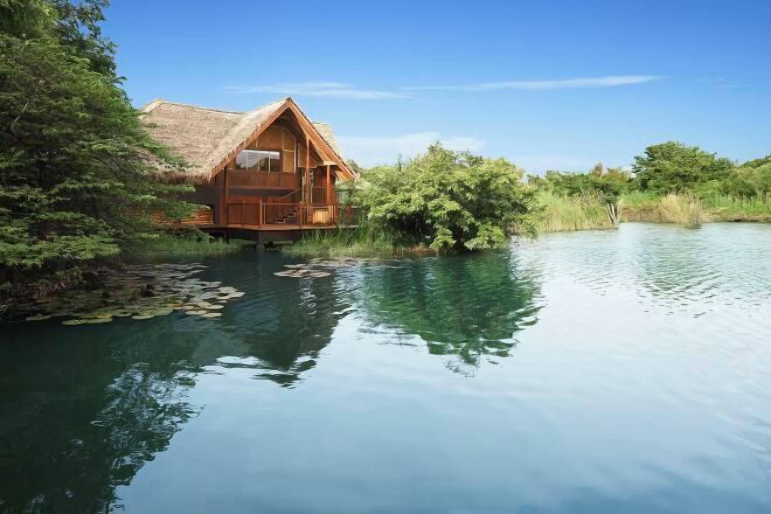 A wooden cabin with a thatched roof, surrounded by water and greenery.