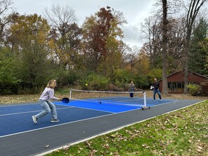 Sports court - Wooded Oasis: Pickleball, Hot Tub, Fire Table, Deer, Corn Hole, Arcade, Popcorn (Yorkville)