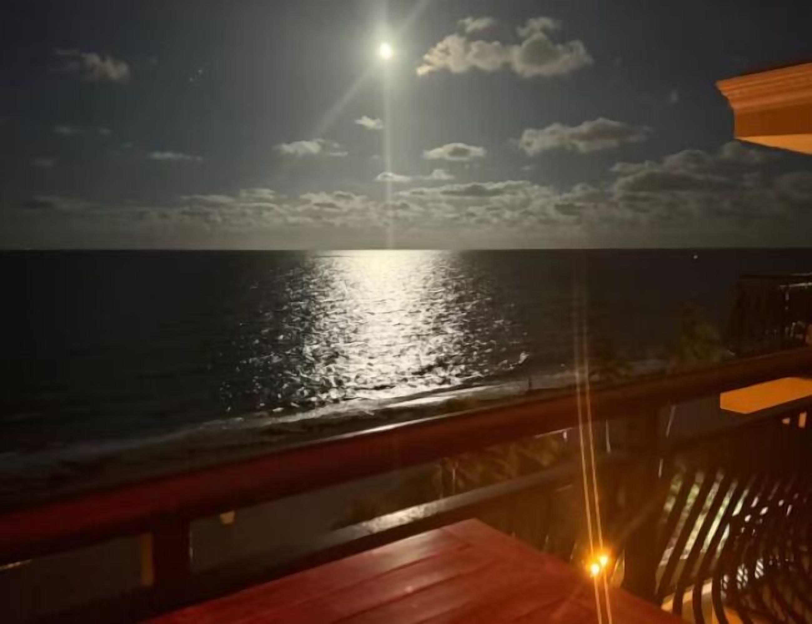 Vista desde la propiedad