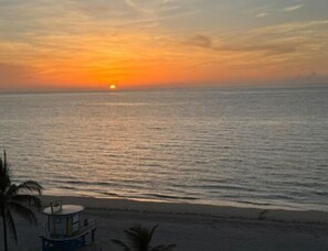 Vista desde la propiedad