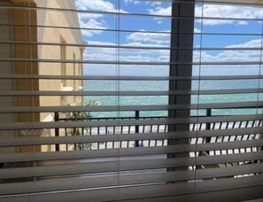 Vista desde la propiedad