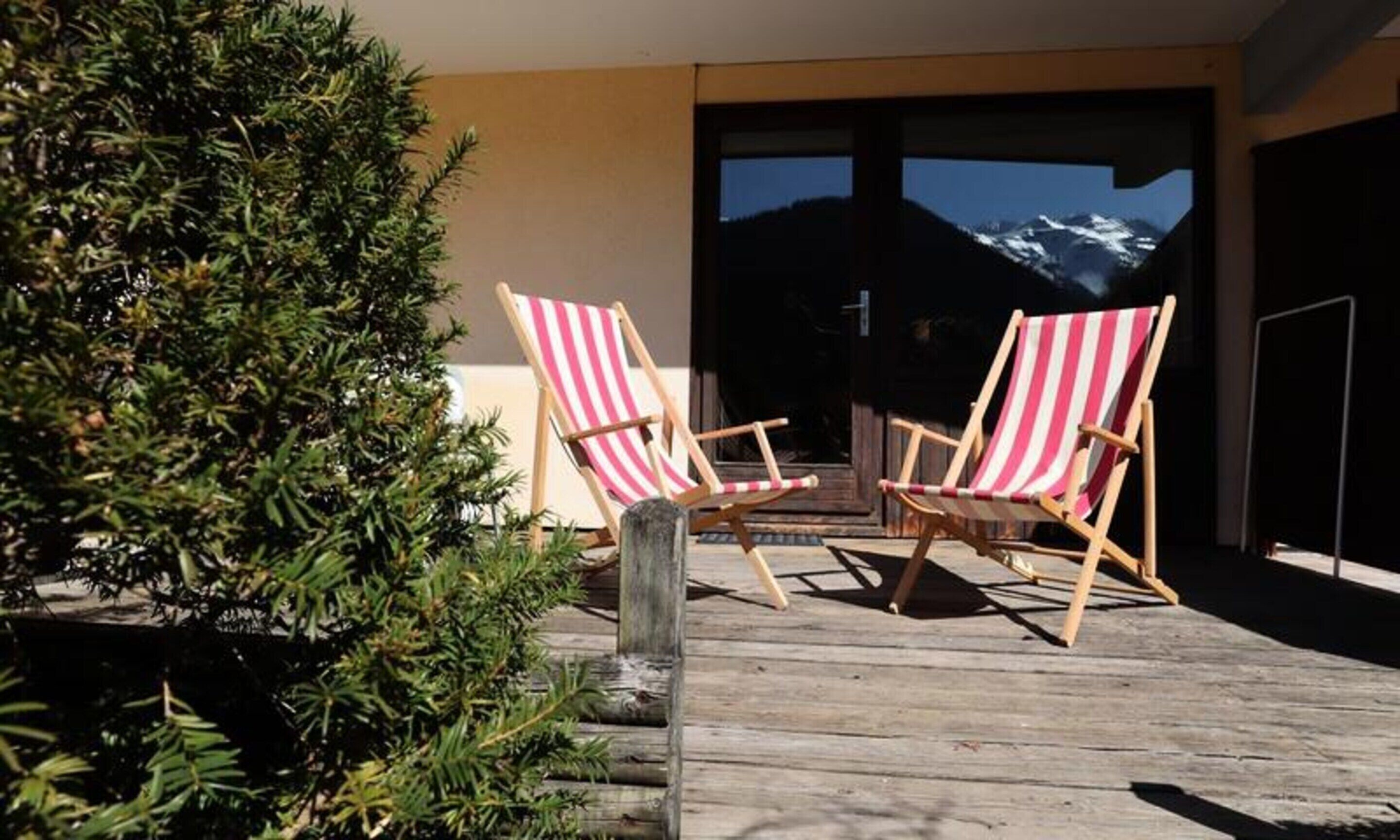 Teras/patio