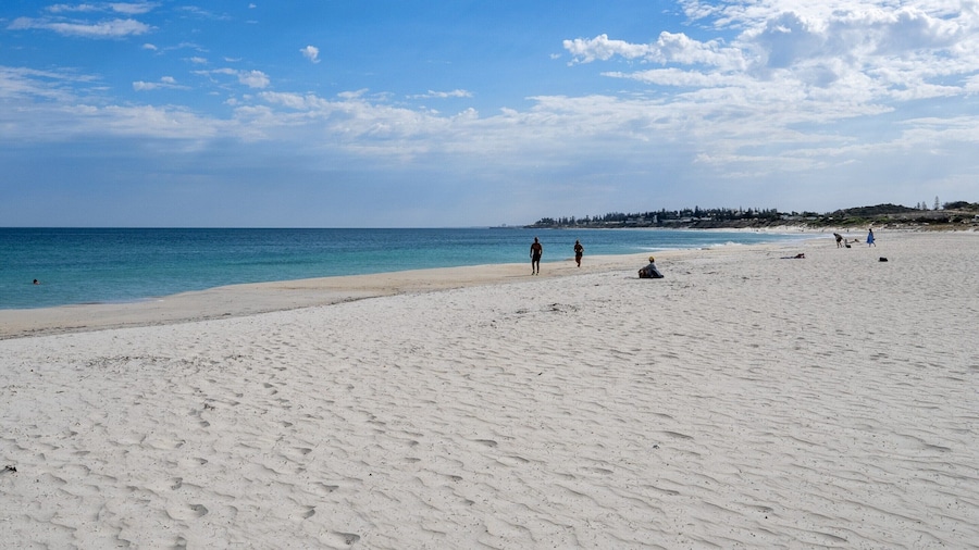 Chic Studio Stay Near Cafes and Coastline