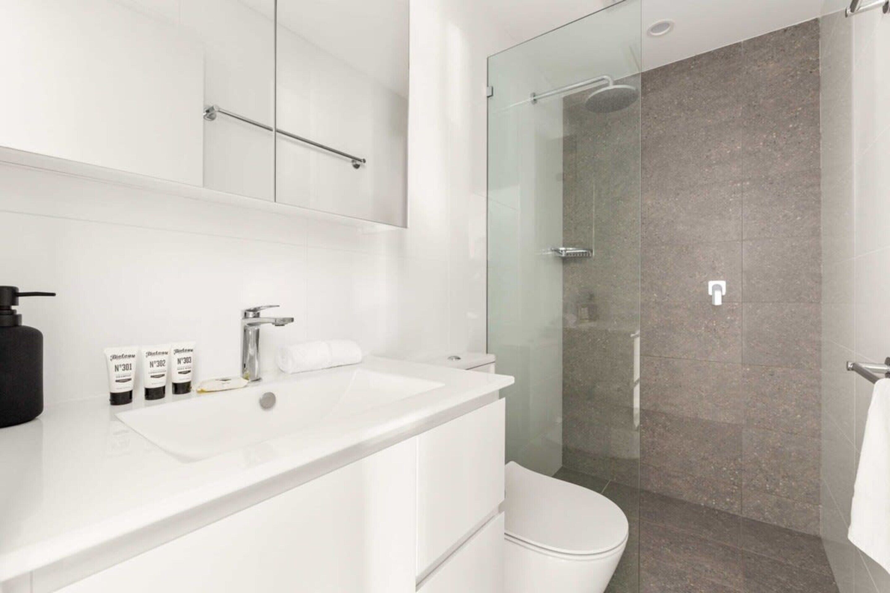 Appartement | Salle de bain | Sèche-cheveux, serviettes fournies, savon, shampoing