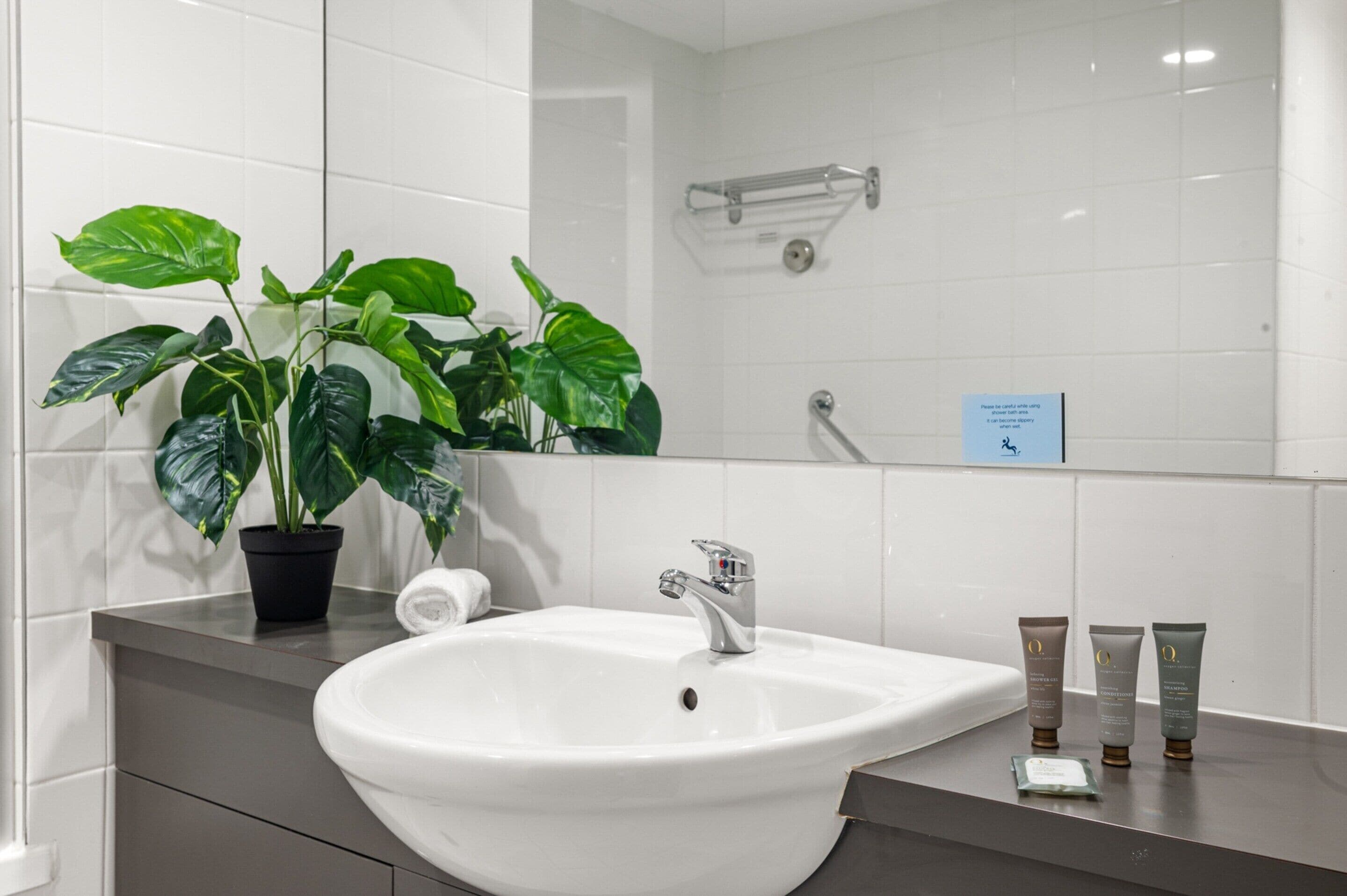 Une salle de bain avec un lavabo blanc, une plante en pot et trois flacons de produits de toilette posés sur le comptoir.