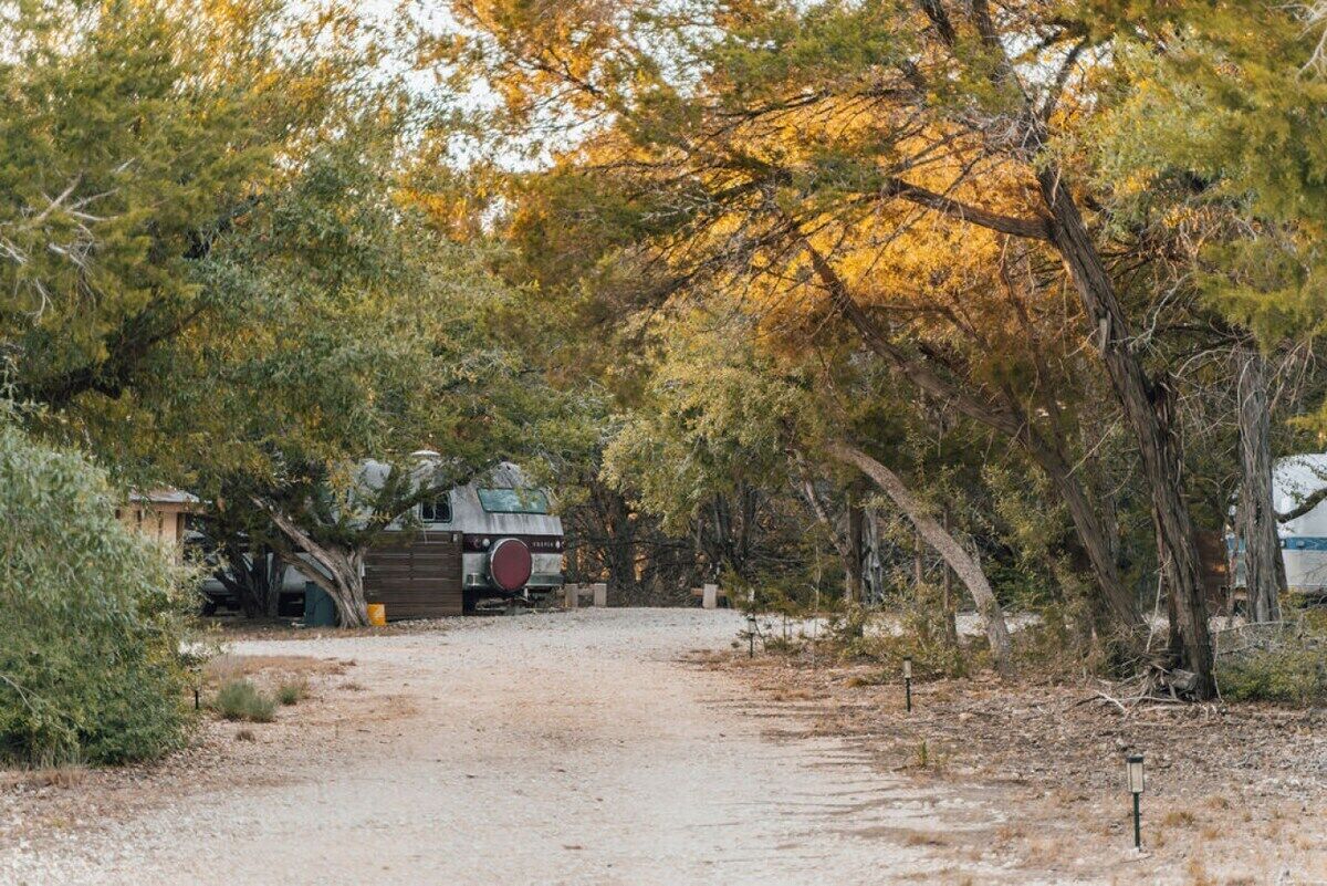 A gravel path leading to a building with a red door, surrounded by trees and shrubs.