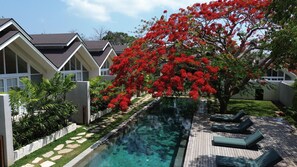 A swimming pool with a wooden deck, surrounded by a garden with red flowering trees and a white fence.