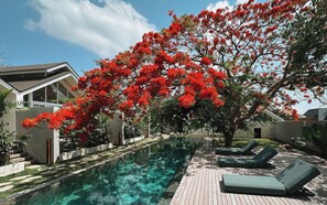 Pool - Asai Village (Jimbaran)