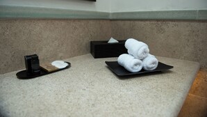 A bathroom counter with a towel rack, a soap dish, and a tissue box. - Mirtala Hotel Boutique  (Guanajuato)