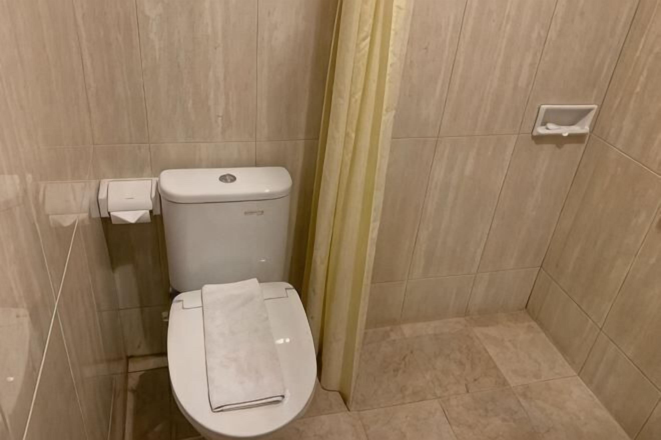 A bathroom with a toilet, a towel, and a toilet paper holder.