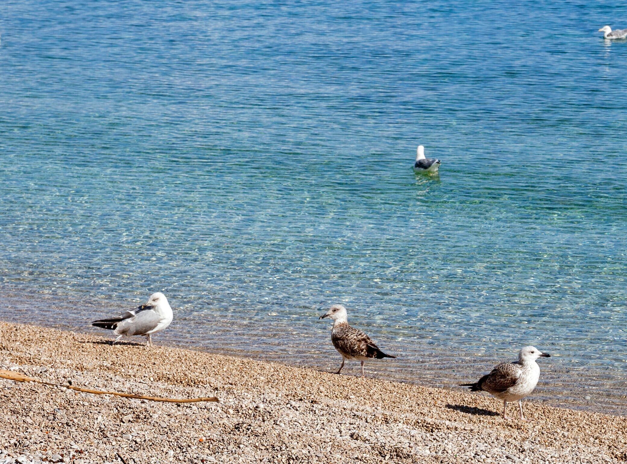 A la platja 