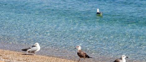 A la platja