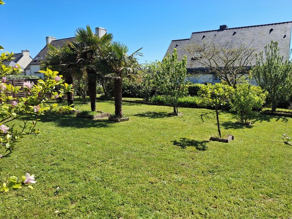 المنطقة المحيطة بالمنشأة