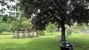 Un espacio al aire libre con césped y una parrilla.