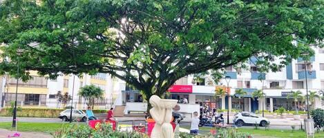 Área da propriedade