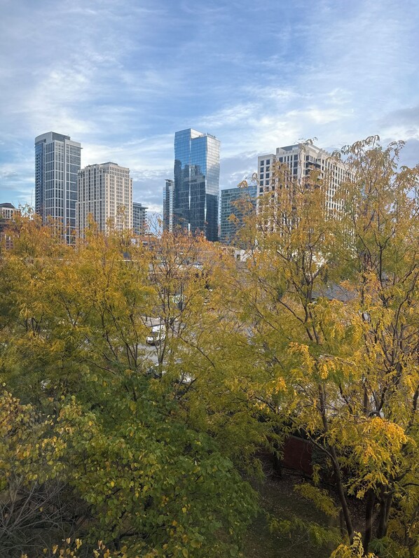 A cityscape with modern high-rise buildings and autumn foliage.