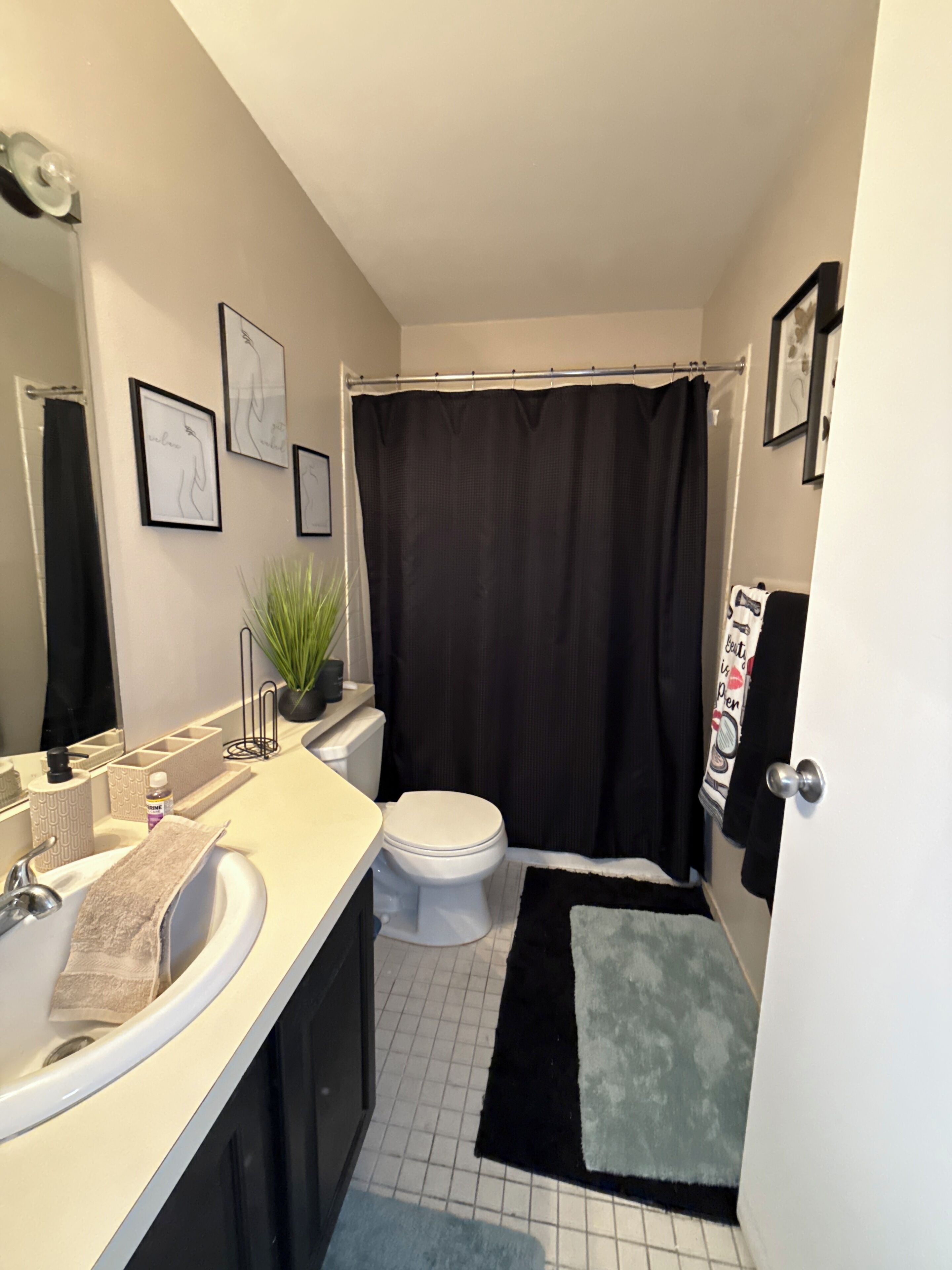Hair dryer, towels, soap, toilet paper