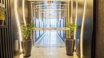 An elevator entrance with a mirrored wall, two potted plants, and a sign indicating 'SAIDA'.