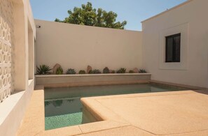 A modern outdoor pool area with a clear pool, a white wall, and a few potted plants.