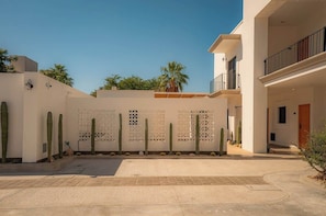 A modern building with a courtyard featuring cacti and a decorative wall.